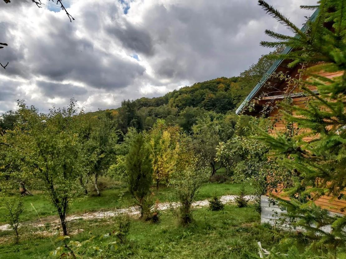 Pensiunea Agroturistica Piscul Soarelui Cîmpulung Exteriör bild