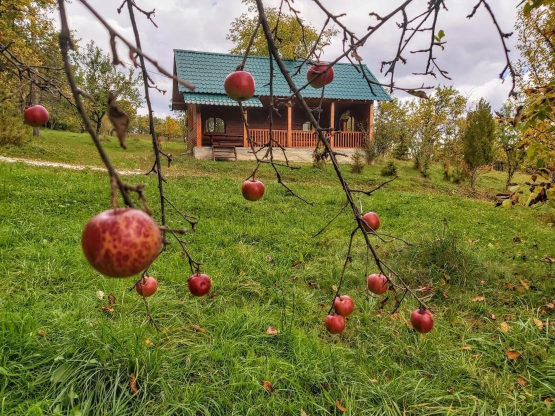 Pensiunea Agroturistica Piscul Soarelui Cîmpulung Exteriör bild