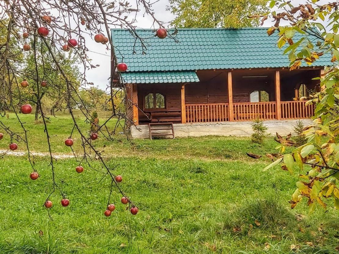 Pensiunea Agroturistica Piscul Soarelui Cîmpulung Exteriör bild