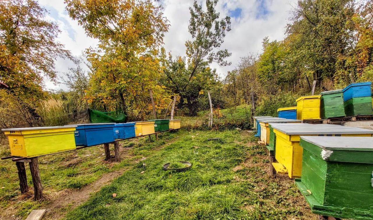 Pensiunea Agroturistica Piscul Soarelui Cîmpulung Exteriör bild