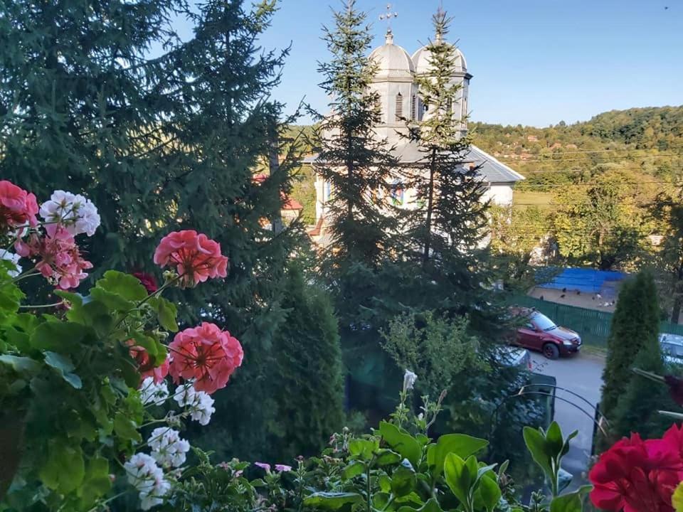 Pensiunea Agroturistica Piscul Soarelui Cîmpulung Exteriör bild