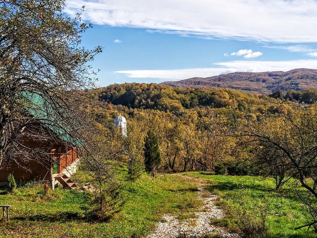 Pensiunea Agroturistica Piscul Soarelui Cîmpulung Exteriör bild