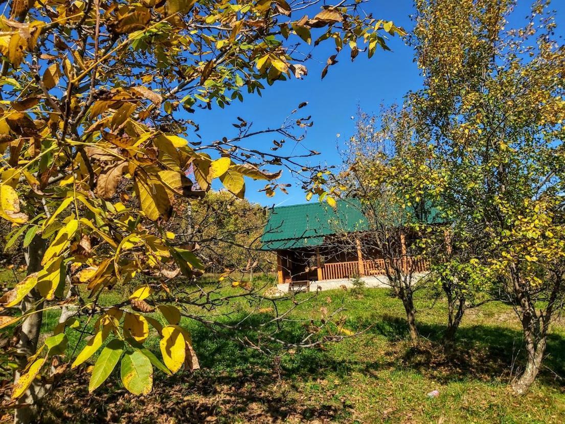 Pensiunea Agroturistica Piscul Soarelui Cîmpulung Exteriör bild